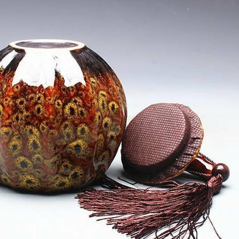 Gorgeous Ceramic Tea/Dried Fruit Jar with Lid - 4 Styles - Ideal Place Market